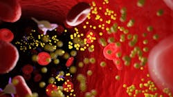 Adobe Stock 265142906 639b50e2f3965 Adobe Stock 265142906 639b50e2f3965