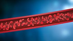 Adobe Stock 294101970 63ac60c21a370 Adobe Stock 294101970 63ac60c21a370