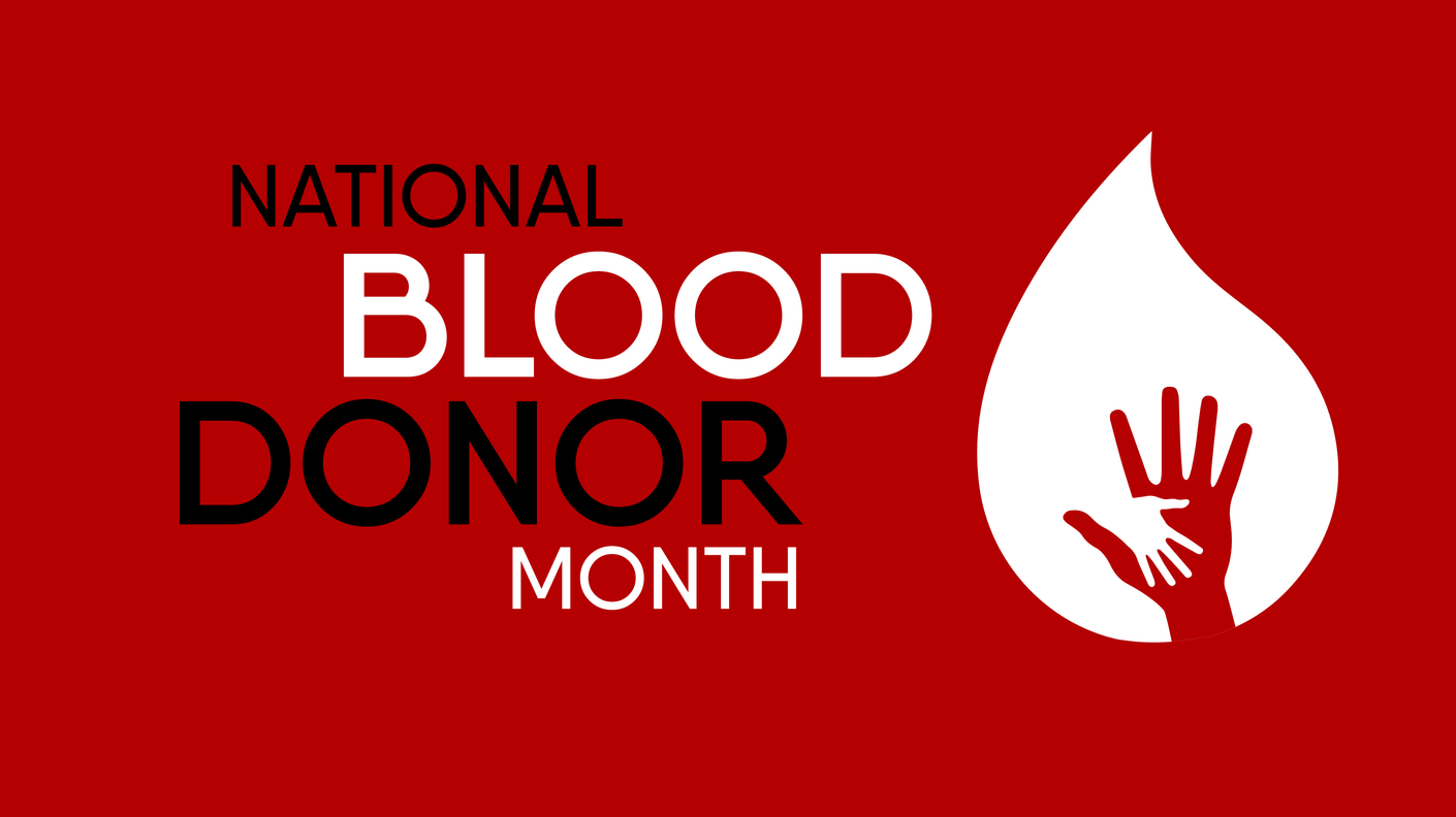 Adobe Stock 303086341 6399f86fbb1bf