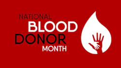 Adobe Stock 303086341 6399f86fbb1bf Adobe Stock 303086341 6399f86fbb1bf