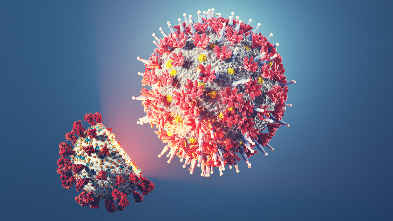 Adobe Stock 475994060 638a22fb75093