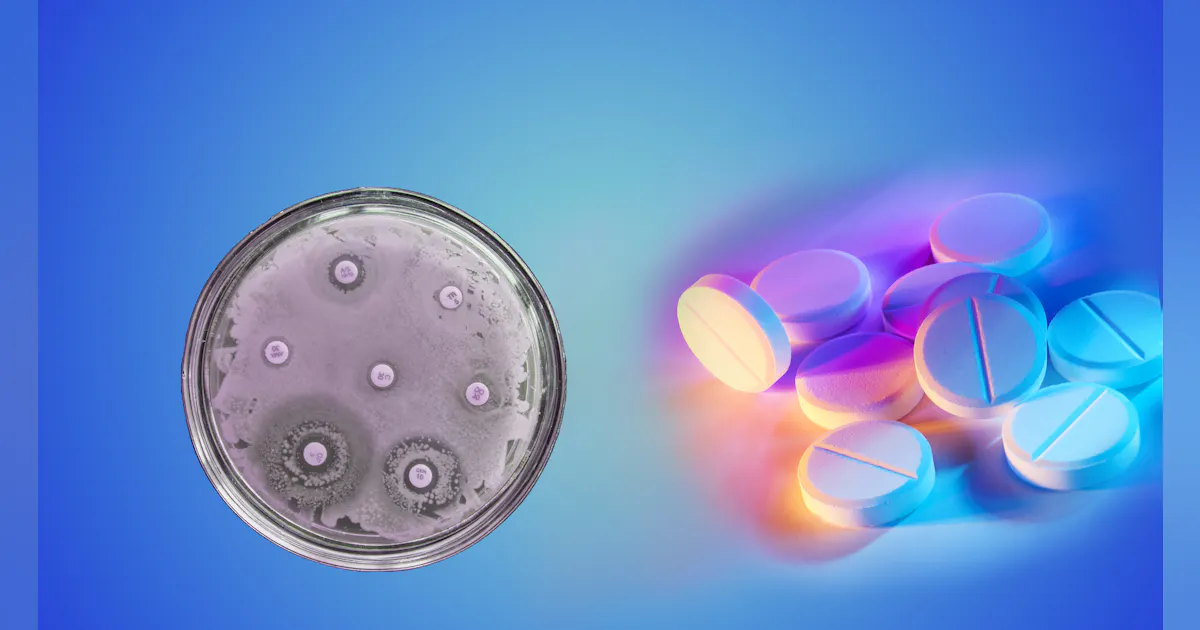 The challenge of antimicrobial resistance for the clinical laboratory ...