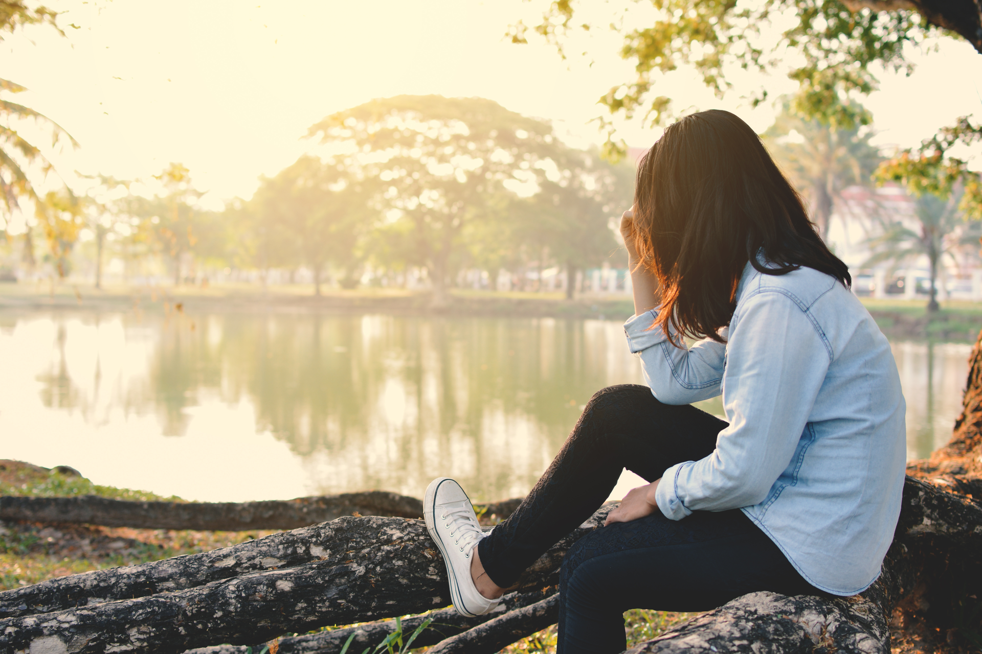 Adobe Stock 150571941 638e1b783c688