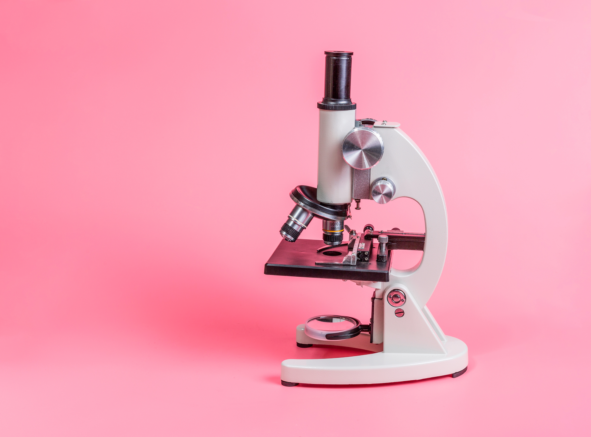 Adobe Stock 236536145 6392185510094