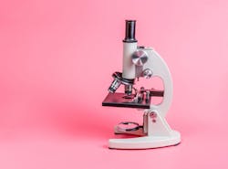 Adobe Stock 236536145 6392185510094 Adobe Stock 236536145 6392185510094