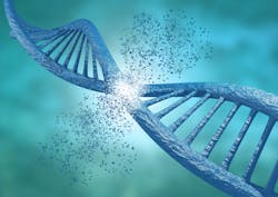 Adobe Stock 236893134 639c8ee2d71fe Adobe Stock 236893134 639c8ee2d71fe