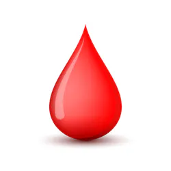 Adobe Stock 254194016 638e1cd7ce24b Adobe Stock 254194016 638e1cd7ce24b