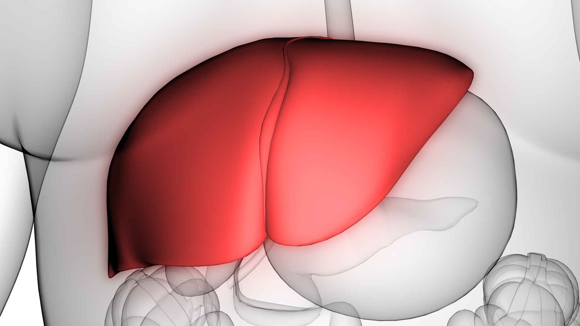 Adobe Stock 261074479 63ab45b38a7eb