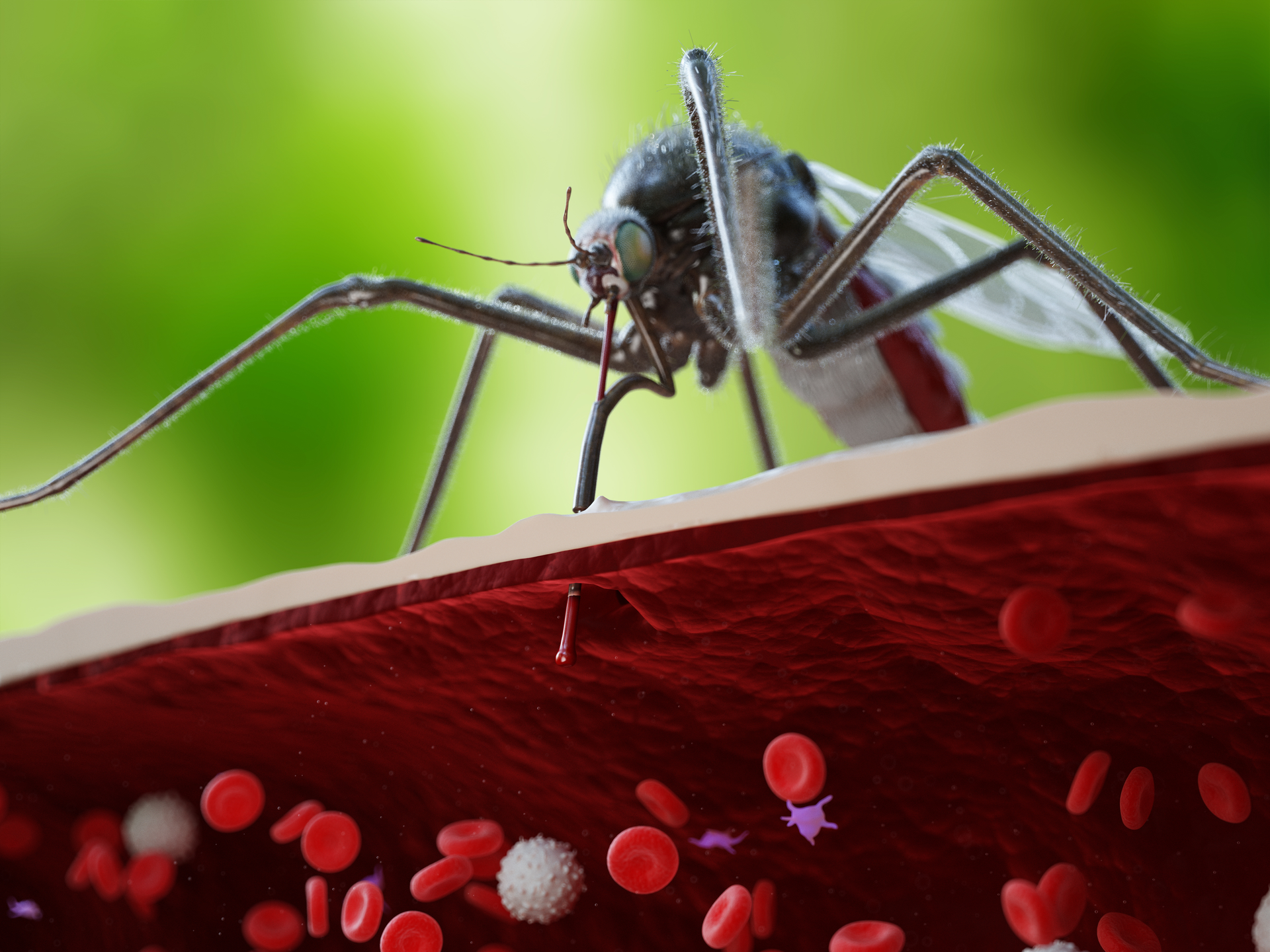 Adobe Stock 276496355 63921a9a11f06