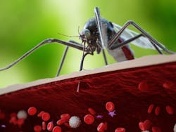 Adobe Stock 276496355 63921a9a11f06 Adobe Stock 276496355 63921a9a11f06