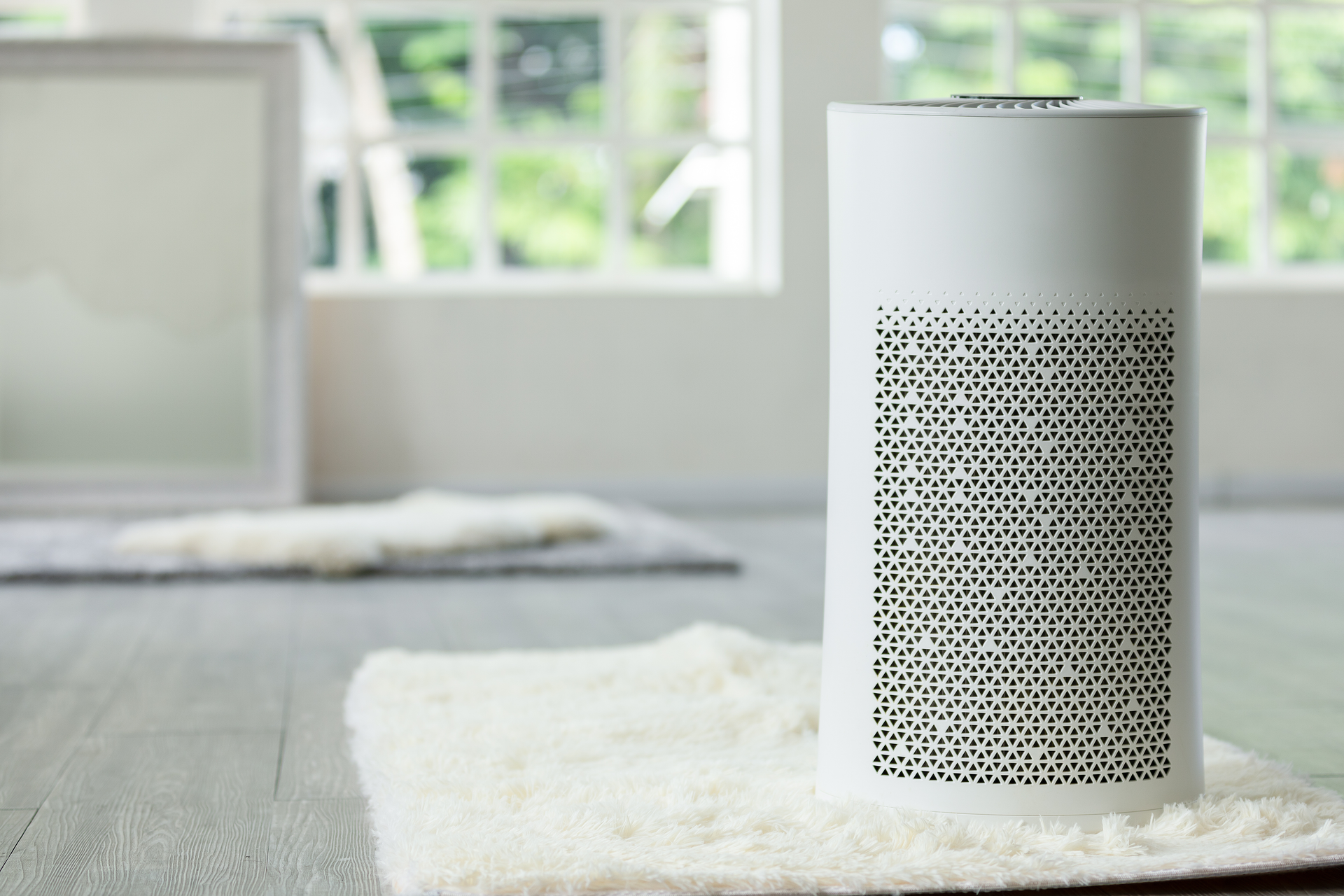 Adobe Stock 364310366 638f52d648d3c