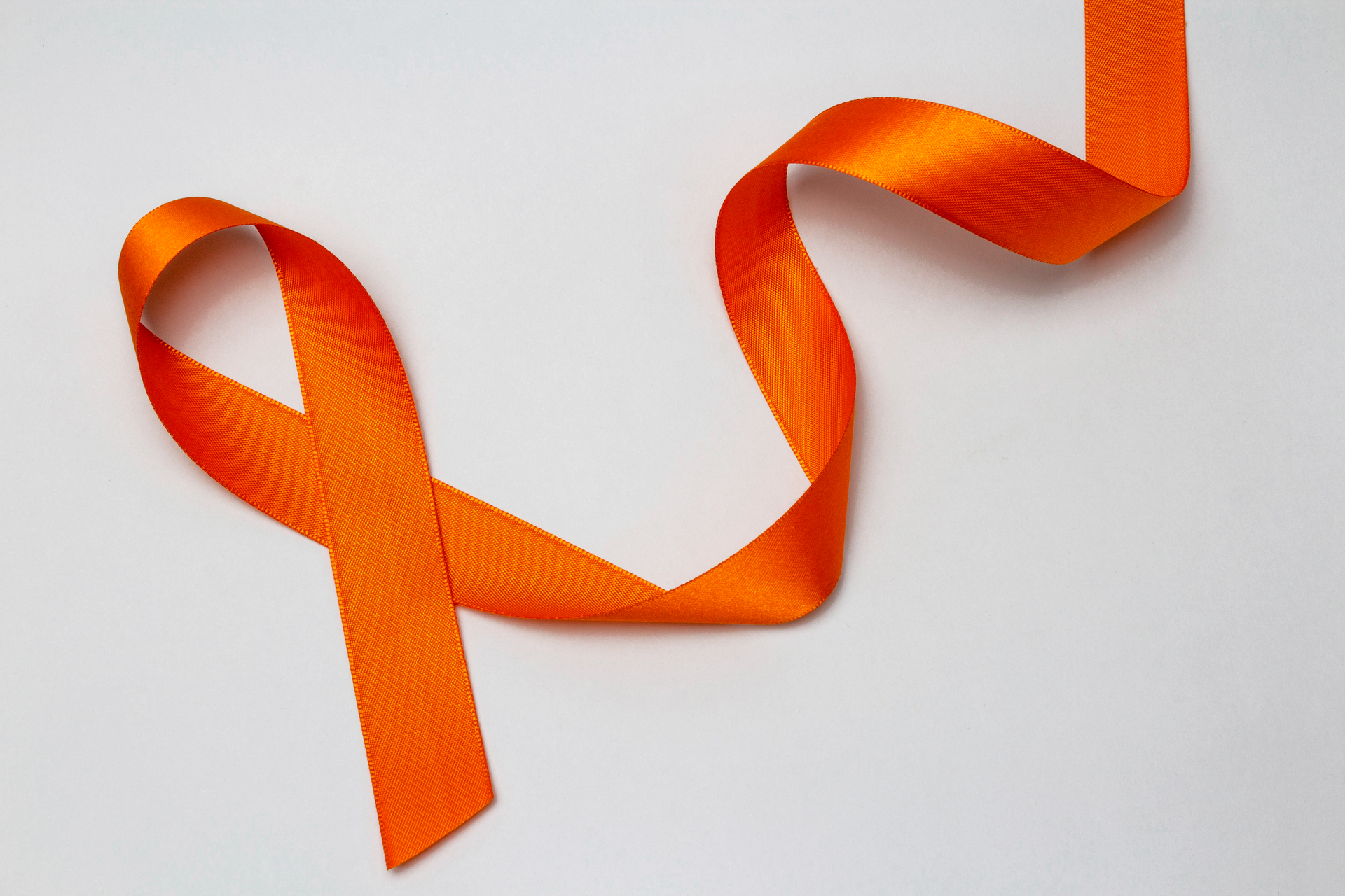 Adobe Stock 478669440 639b544f517cd