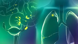 Courtesy of On Target Laboratories Courtesy of On Target Laboratories