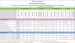 Figure 1. Example data from an antibiogram. Figure 1. Example data from an antibiogram.