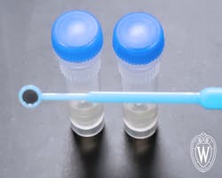 Wslhpt jan2023 product Focus (1) Wslhpt jan2023 product Focus (1)