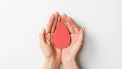 Adobe Stock 248236762 63bedae28330f Adobe Stock 248236762 63bedae28330f