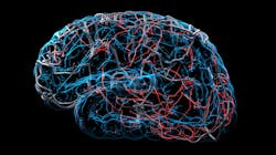 Adobe Stock 320444713 63b84385d9611 Adobe Stock 320444713 63b84385d9611