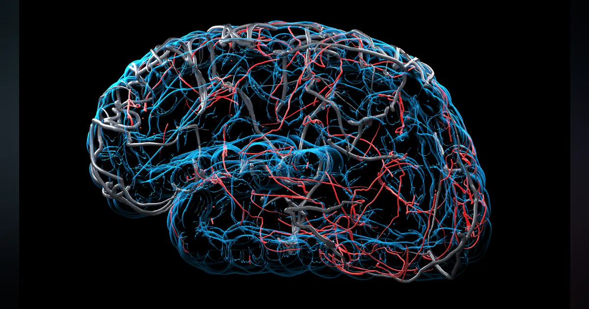 Geometry Brain Geometry of the brain, dimensions of the mind | MLO Online