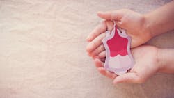 Adobe Stock 336321766 63b4476d0dcbb Adobe Stock 336321766 63b4476d0dcbb