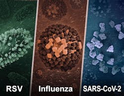 Illustration shows 3D renditions of three dangerous respiratory viruses, NIAID. Illustration shows 3D renditions of three dangerous respiratory viruses, NIAID.