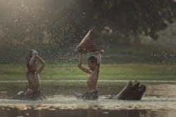 Adobe Stock 108960162 63c18089b6809 Adobe Stock 108960162 63c18089b6809