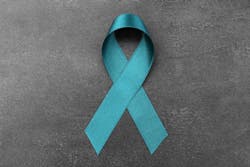 Adobe Stock 131574268 63bd8c863f1ee Adobe Stock 131574268 63bd8c863f1ee