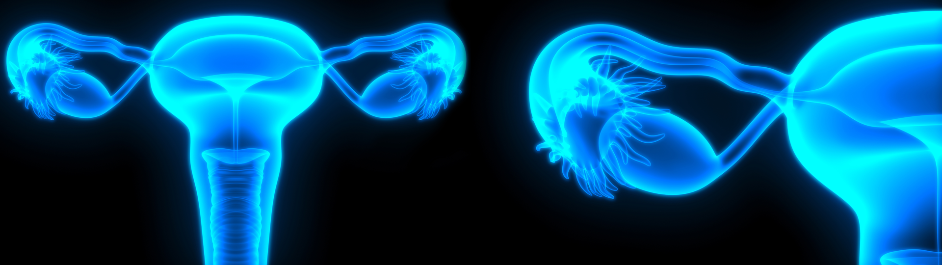 Adobe Stock 172666401 63c6c82be7819