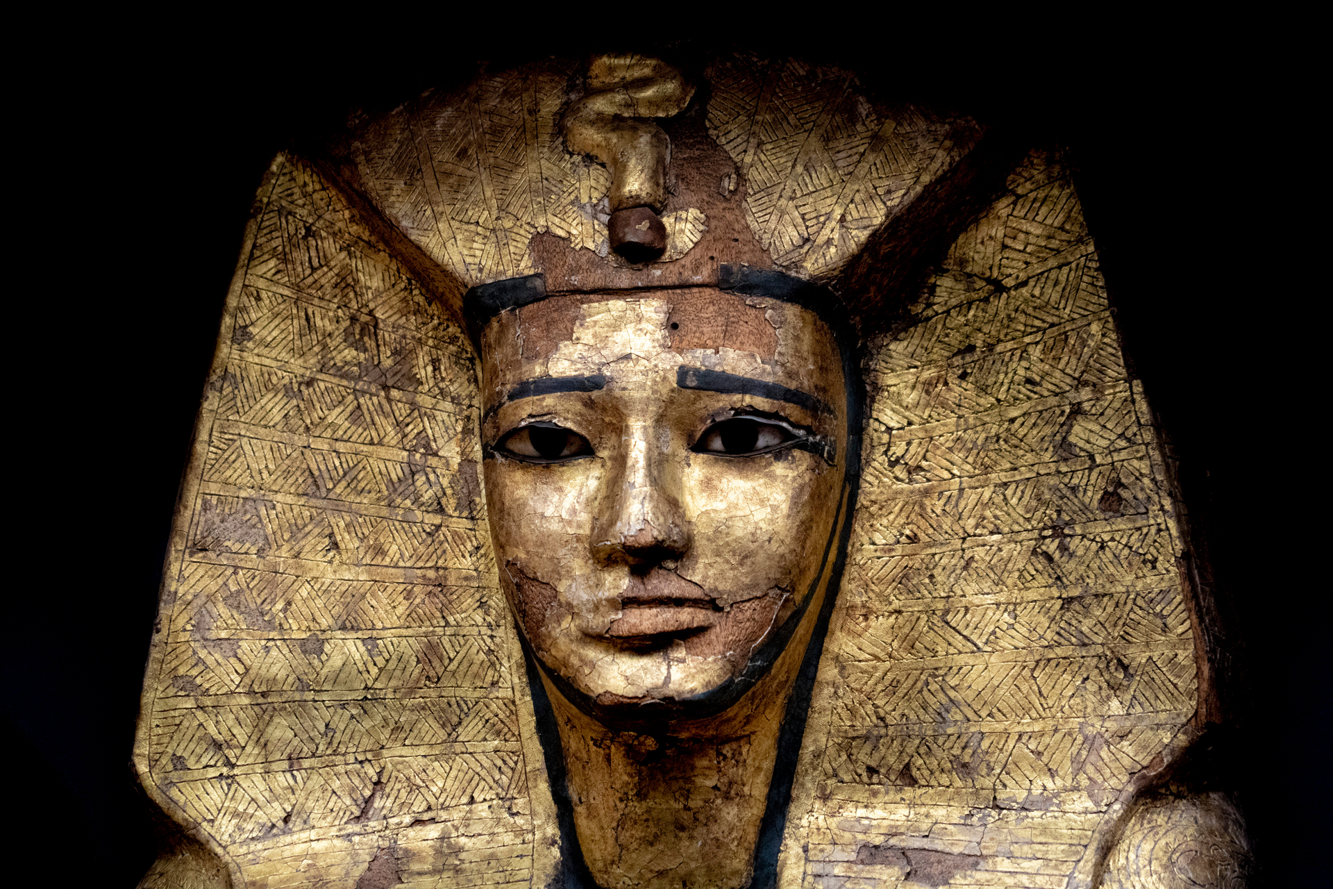 Adobe Stock 240144694 63bede41103c5