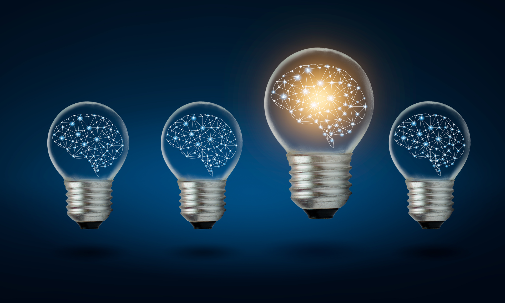 Adobe Stock 297881927 63d00a4ea8880