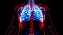 Adobe Stock 384776372 63d14e284d674 Adobe Stock 384776372 63d14e284d674