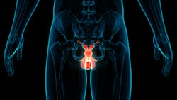 Getty Images 1277692165 63c8791ab6f4b Getty Images 1277692165 63c8791ab6f4b