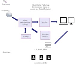 Picture2test Picture2test