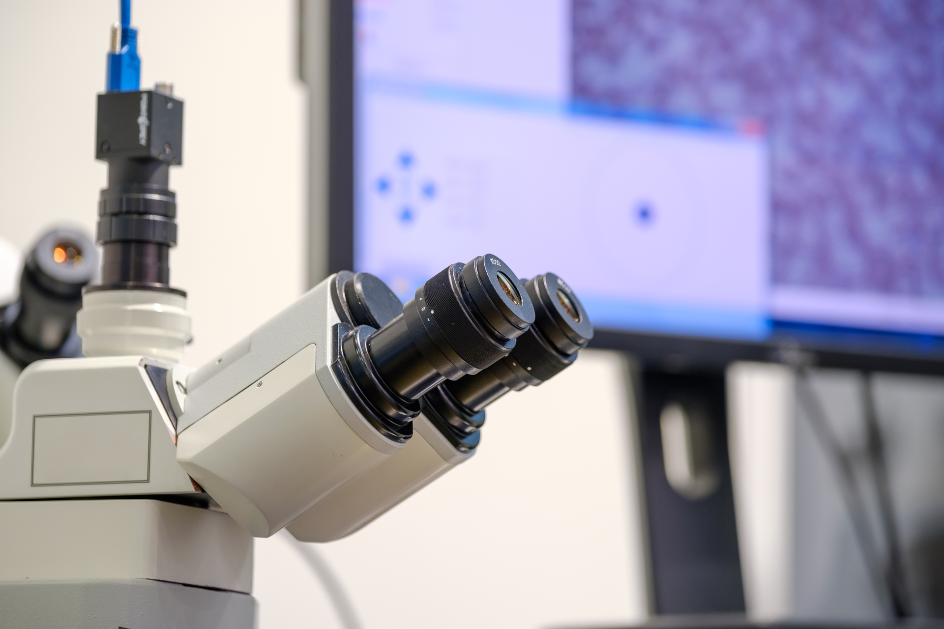 Dreamstime Xxl 107086721 63d16d33ca0fc