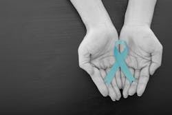 Adobe Stock 107809029 63da9569b1732 Adobe Stock 107809029 63da9569b1732