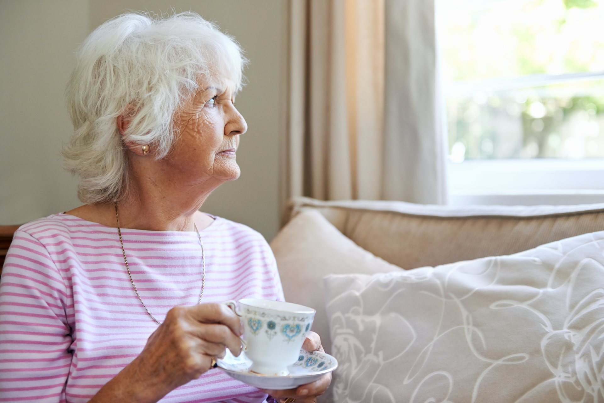 Dreamstime Xxl 40533922 63f3f545aeef3