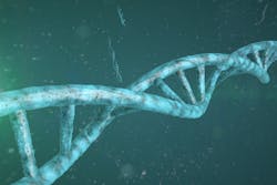 Dreamstime Xxl 50706710 63e663ada3012 Dreamstime Xxl 50706710 63e663ada3012