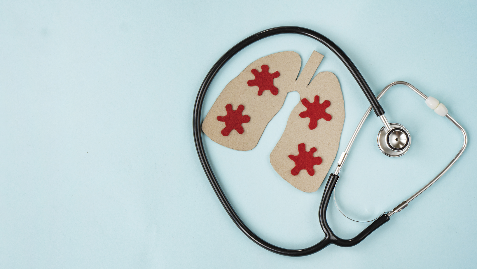 Dreamstime Xxl 182169632 641c661653cef