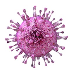 Human cytomegalovirus (CMV).