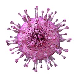 Human cytomegalovirus (CMV). Human cytomegalovirus (CMV).