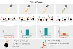 Figure 1. Impact of CCD residues on solid-phase in vitro technologies for allergy diagnosis. Figure 1. Impact of CCD residues on solid-phase in vitro technologies for allergy diagnosis.