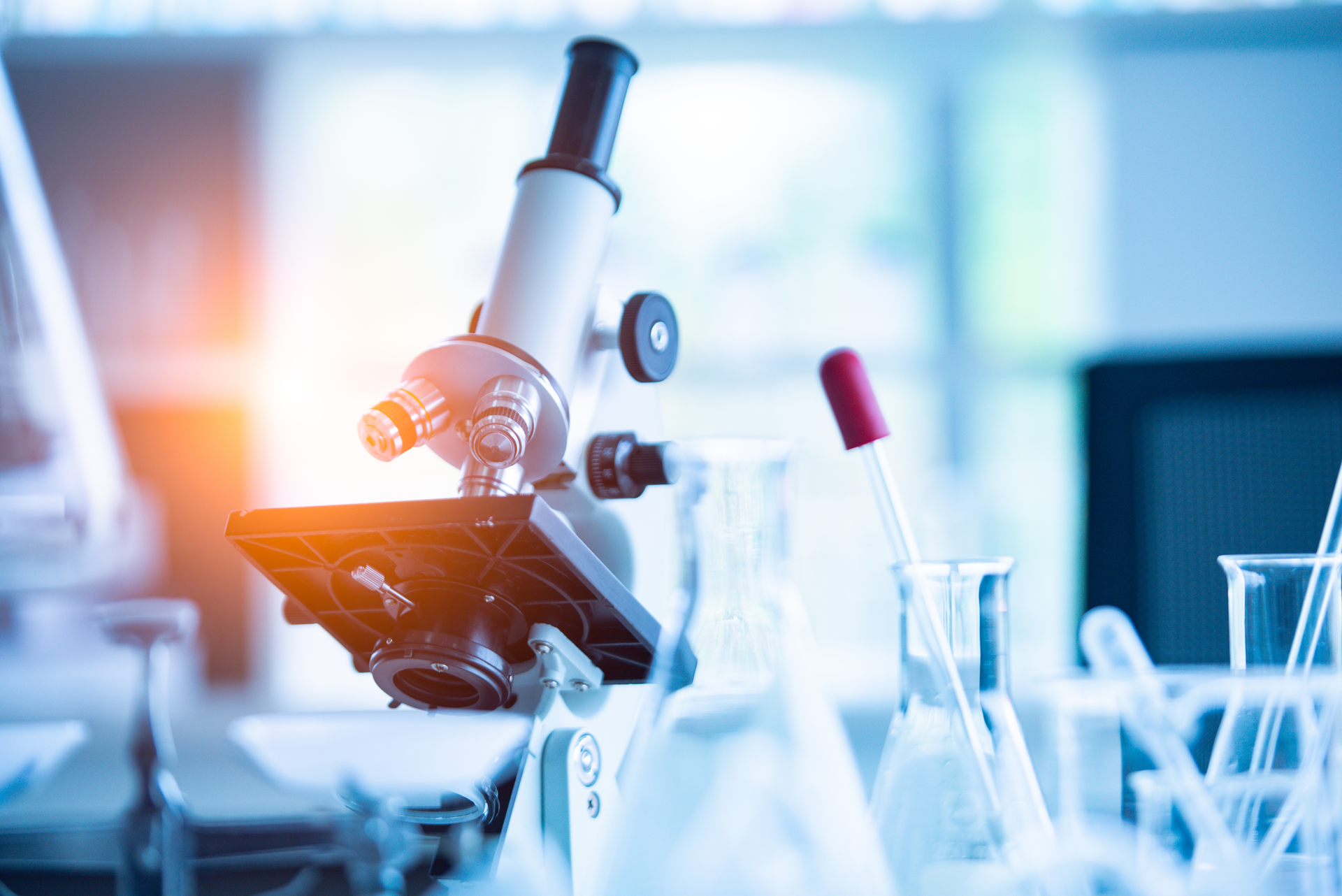 Dreamstime Xxl 149837485 6400bd5b10bca