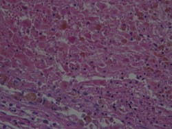 Dreamstime Xxl 45068303 6407593e12075 Dreamstime Xxl 45068303 6407593e12075