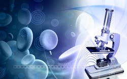 Dreamstime Xxl 7228797 1 640b515ba116e Dreamstime Xxl 7228797 1 640b515ba116e