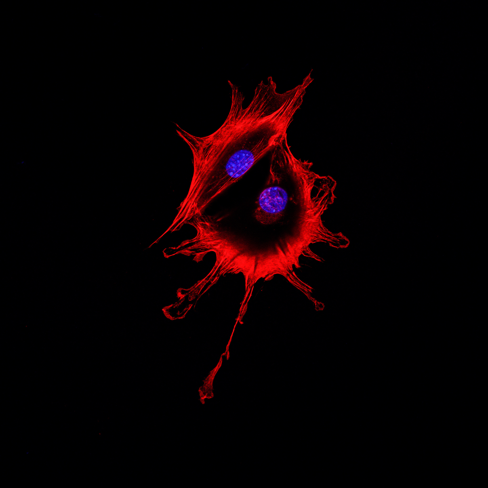 Dreamstime Xxl 76259680 6409fb9eb5bf0