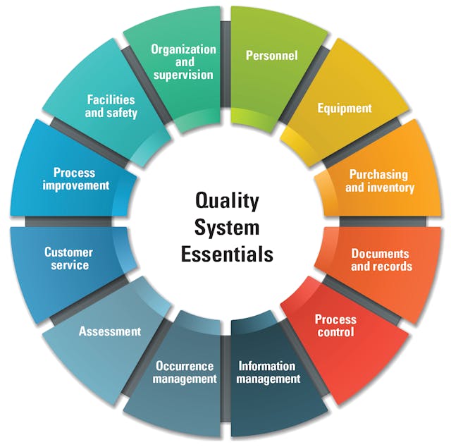Quality System Structure Structure Of Quality Management System Qms As The Basics