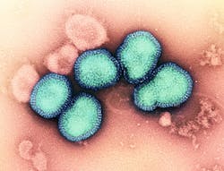 Influenza A Virus (H3N2), NIAID. Influenza A Virus (H3N2), NIAID.