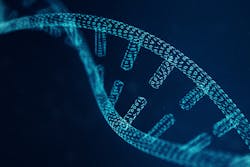 Dreamstime Xxl 123735828 645cffb4b6882 Dreamstime Xxl 123735828 645cffb4b6882