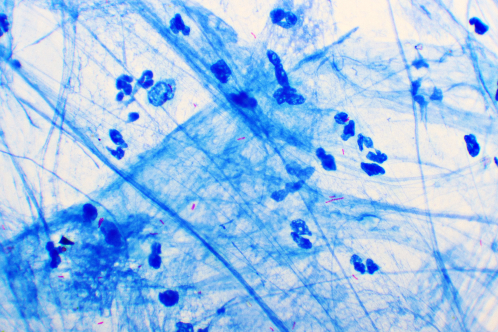 Dreamstime Xxl 165320191 645cf9f11311c