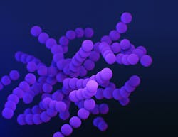 23246 Copy 6489ed17dc8cc 23246 Copy 6489ed17dc8cc