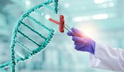 Dreamstime Xxl 198035841 6479ecd66a5d6 Dreamstime Xxl 198035841 6479ecd66a5d6